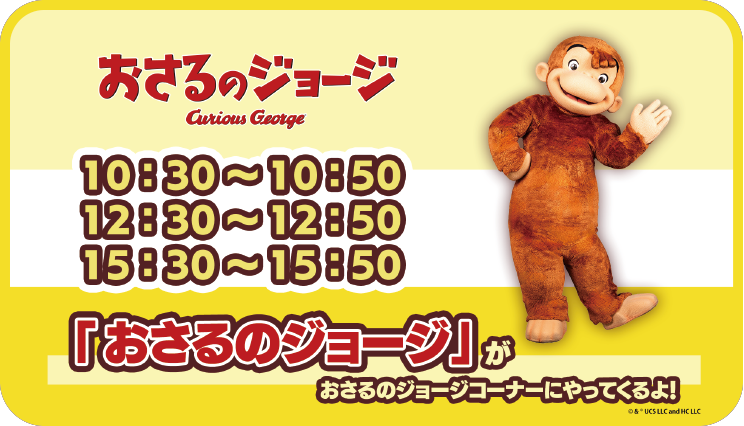 スケジュール